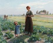 Aime Perret The lettuce patch oil on canvas